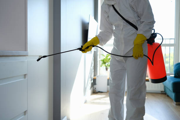 Best Residential Mold Removal  in Greenwood, AR