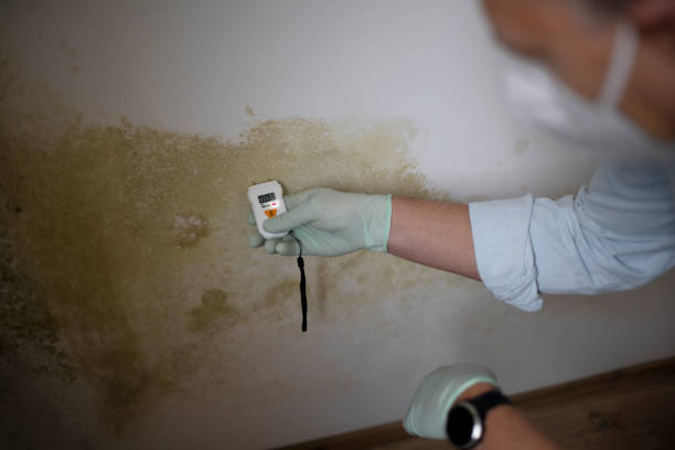 Greenwood, AR Mold Removal Company