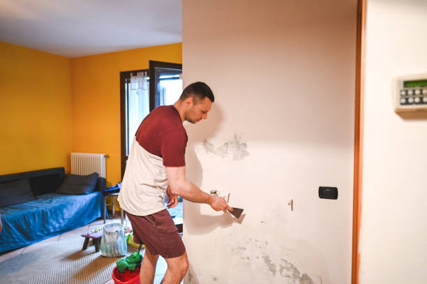 Best Commercial Mold Removal  in Greenwood, AR